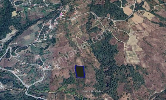 Sakarya Geyvede Satılık Tarla Tarım Ve Yatırıma Uygun