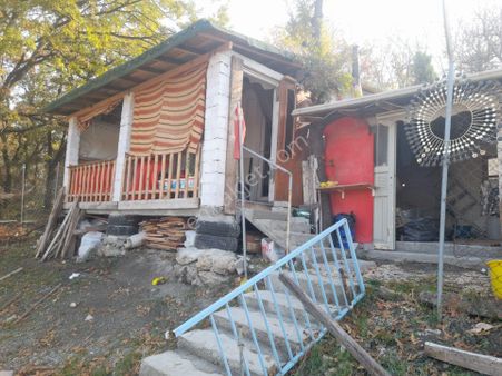 Bilecik Pazaryeri Karaköy'de Satılık Hazır Hobi Bahçesi