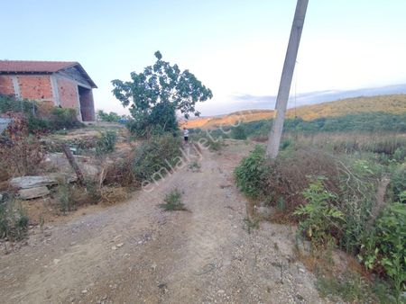 Tarcanlar'dan Kandıra Topluca'da 2.818 M² Fındık Bahçesi