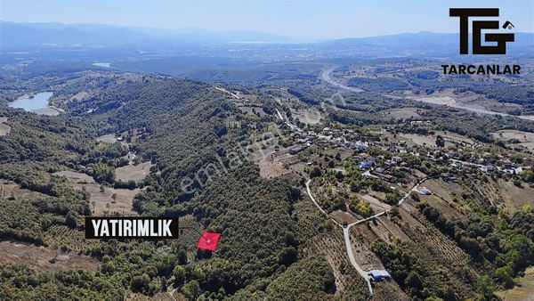 Tarcanlar'dan Karabdülbaki'de 591 M2 Yatırımlık Fındık Bahçesi