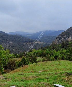 Tarcanlar'dan Bilecik Söğüt Çaltı Köyü Sera Bölgesi Yatırımlık