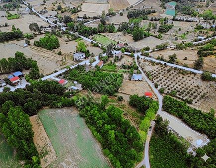 Tarcanlar'dan Kandıra Elmacık Köyün Dibi 844 M² Tarla Satılık