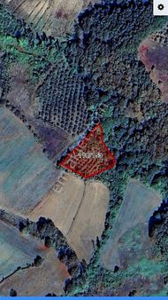 Tarcanlar'dan Satılık Elmacık'ta 1787 Metrekare Uygun Fındıklık