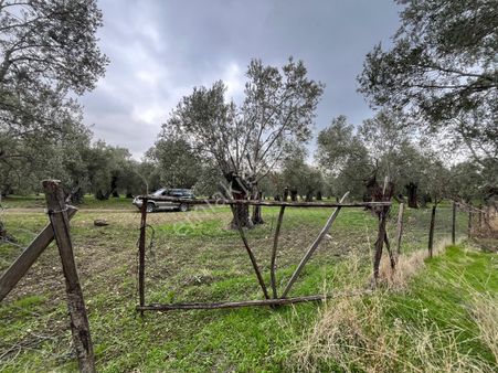 Köylüce'nin Alt Eteklerinde Uygun Fiyatlı Yatırım Fırsatı