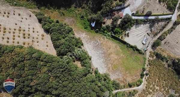 Remax Mavi'den Fındıklık