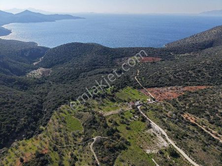 Datça Cumalı Bükceğiz Koyu'nda Yatırımlık 687 M2 Tarla