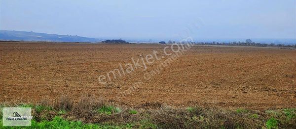 Tekirdağ Kapaklı Karlıda Resmi Yola Cepheli Satılık Tarla