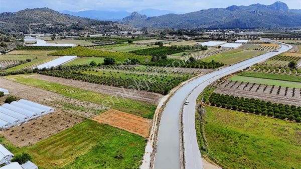 Sarıabalıda 26.000 M2 Müstakil Tapulu Tarla