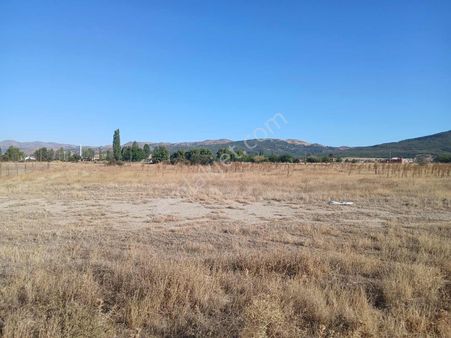 Duru Group'dan Sinanpaşa Ahmetpaşa Da Satılık 2396 M2 Arsa !