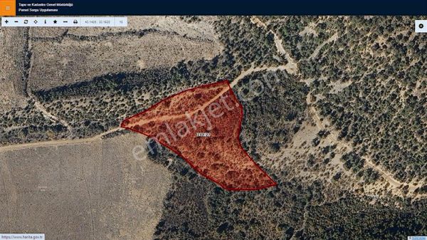 Başkan Emlaktan Satılık Söğüt Geçitli Köyünde 16.877 M2 Tarla