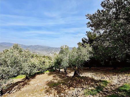 Mudanya Dereköy'de 2003 M2, Yatırımlık Arazi