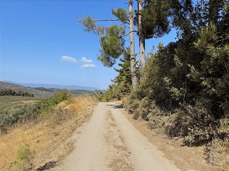 Mudanya Çepni'de Yatırımlık Arazi