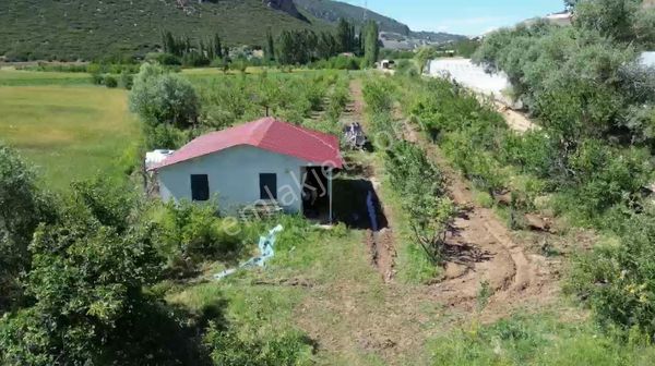 Tire Şahin Gayrimenkul’den Muğla Seydikemer’de Satılık Tarla Müstakil Ev
