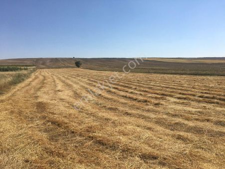 Remax-hür Müge Ergün Aydaştan Bigadiç'te Satılık Tarla