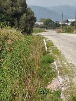 Foça Bağarasında 445 M2 Bahçe Acil Satılıktır