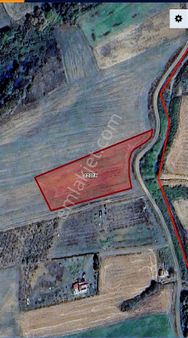 Derince Çavuşlu'da Köye Yürüme Mesafede Satılık Tarla