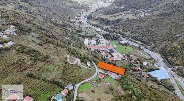 Best Of Trabzon - Öğütlüde Satılık Arsa