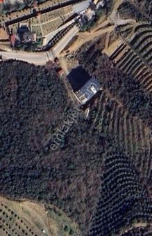 3 Parsel 6425 M2 Depo Ve Bahçe Y