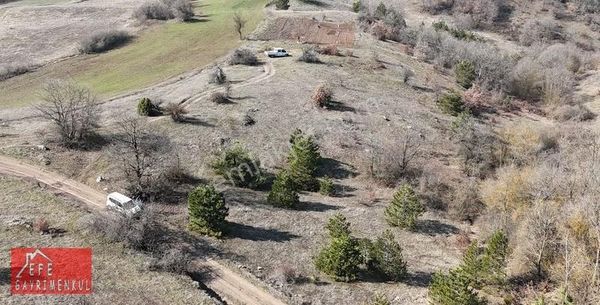 Balıkesir'de Kadstro Yoluna Cephe 6.230 M2 Müstakil Tapulu Tarla