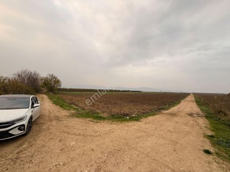 Kaçmaz Emlak Sungurpaşa Köy Satılık Köşe Konumda Verimli Düz Arazi Tarla