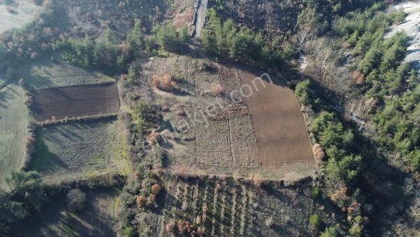 Karataş'tan 2600 M2 Yolu Suyu Olan Dereye Yakın Fırsat Arazi