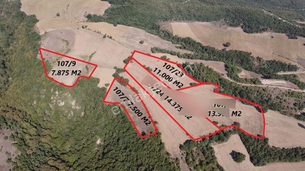 Karataş'tan 54.000 M2 Yolu Olan Kaçırılmayacak Fırsat Arazi