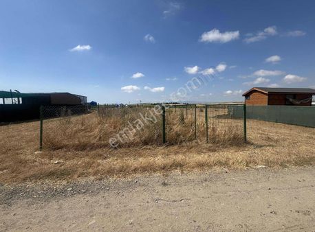 Tema Emlaktan Tekirdağ Yağcı Mah Satılık Arsa