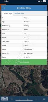 Bursa-mudanya- Dere Köy'de 3638m2 Yetişkin Zeytinlik Satılık