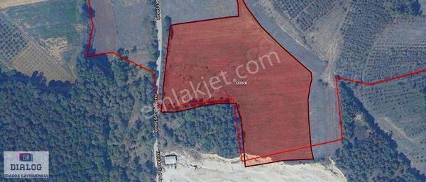 Söğütlü, Sıraköy'de 30148 M2 Fırsat Yatırımlık Satılık Arazi