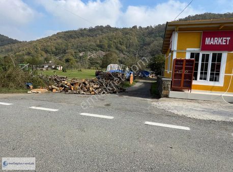 Şile Megaplus Emlaktan Karamandereköyünde 350m2 0.35 İmarlı Arsa