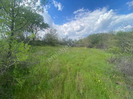 🟨🟨aktif'ten Sübeylidere'de Harika Konumda 10.200m2 Satılık Zeytinlik 🟨🟨