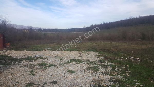 10- Süleymaniye Mah. 6000m2 Kiralık Depolama Alanı