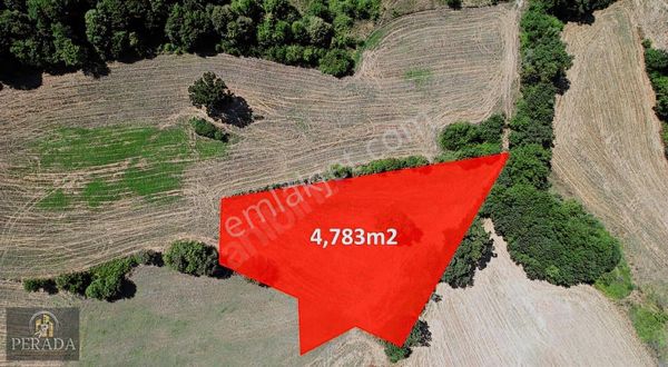 İzmit Çağırganda 4783 M² Satılık Arsa Yatırıma Uygun Konum
