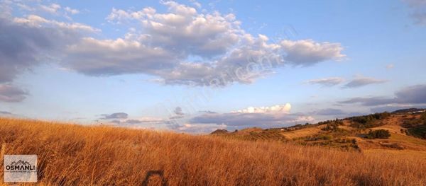 Küre Köyünde 11 Dönüm %5 İmarlı Kupon Çiftlik Arazisi