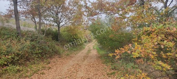 Fiyatı Düşürdük Acil Bursa Yenisehir Yıldırım Mah.hobi Bahçelik