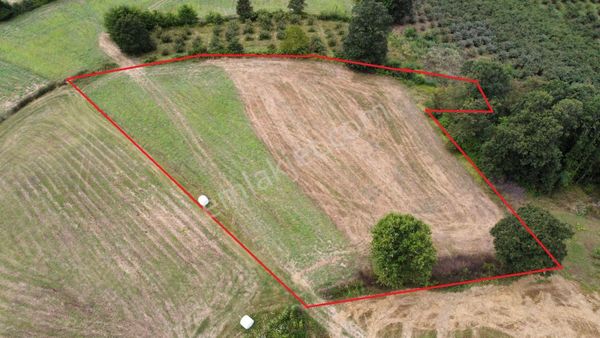 Kocaeli Kandıra Sarıahmetler De Satılık Tarla