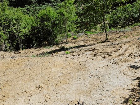 İnnova'dan Kocaeli Topluca'da Satılık Fındık Bahçesi