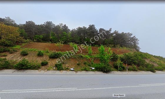 Sakarya Geyve Ahibaba Dikenizi Ana Asvalta Cephe Satılık Tarla