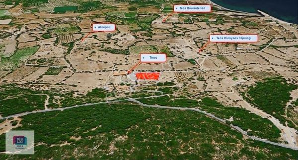 Seferihisar Sığacık Yatırımlık Satılık Zeytinli Tarla