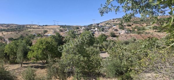 Hakev'den Çilboğaz'da Satılık Bahçe