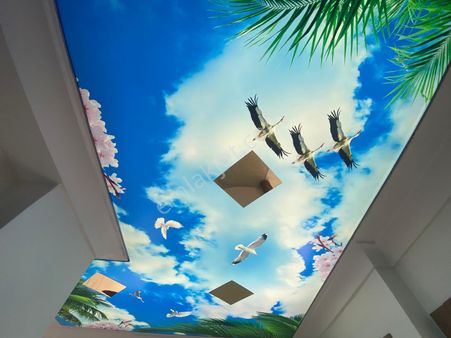 Alyans Life İnşaat'tan Avcılara Sınır Emsalsiz Daire