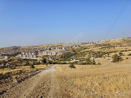 Hakev'den Yumru Tepede Hakim Bir Noktada 3149 Metre Tarla