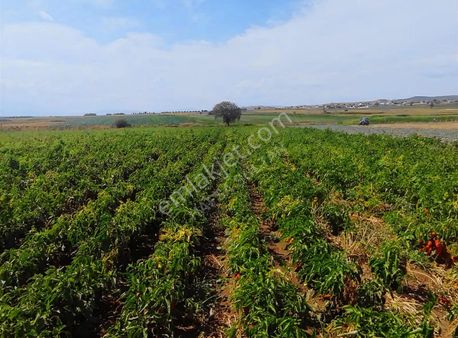 Y Şehir De Satılık Yolu Suyu Mevcut 9.515m2 Tarla