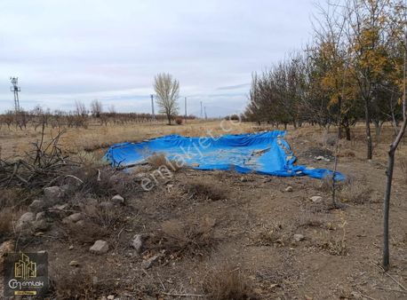 Cm Emlak Kemerhisar Salmanlı Mevki 810 M2 Tarla