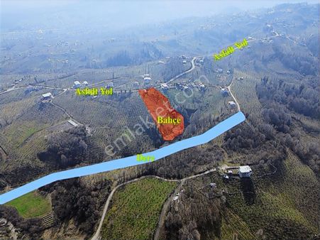 Sakarya Çaybaşı Tepe Mah. Yapı Kayıt Belgeli Fındık Bahçesi