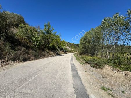 Mudanya Yörükyenicesinde Kapitalden Ana Asfalta Cephe Bahçe