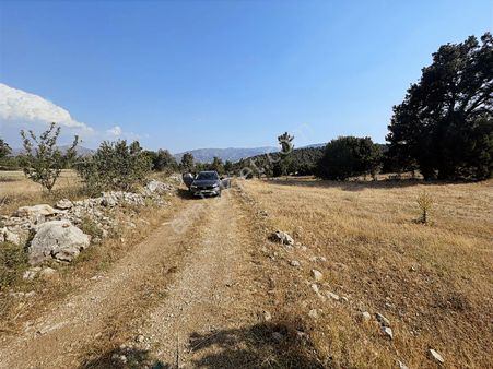 Net Premium'dan Satılık Acıpayam Eskiköy De Hobi Bahçesi