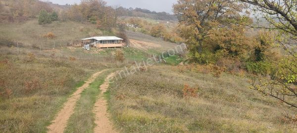 Fiyatı Duşurduk Bursa Yenisehir Hobi Bahcelik