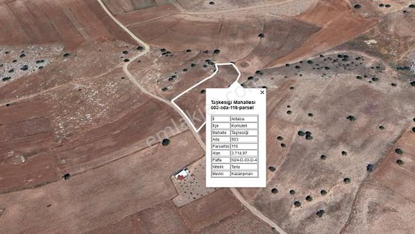 Resmi Yolu Olan Müstakil Yerleşime Yakın Tarla