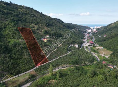Royal'den Kaşüstü Sahile 2.5 Km - 15 Dönüm Yola Cepheli Arazi